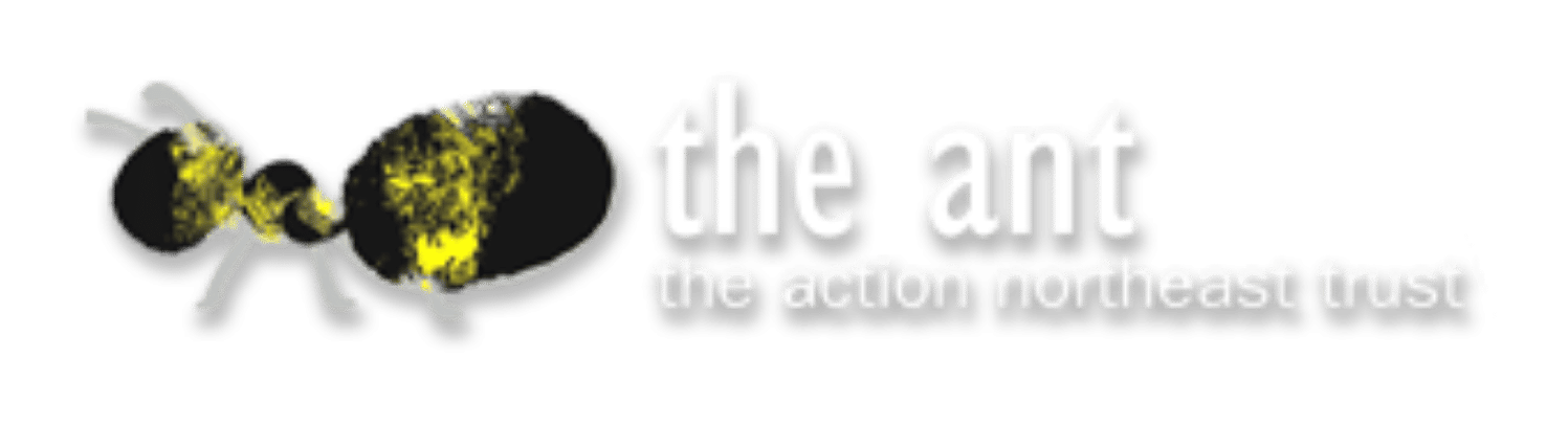 The Action Northeast Trust (2000)