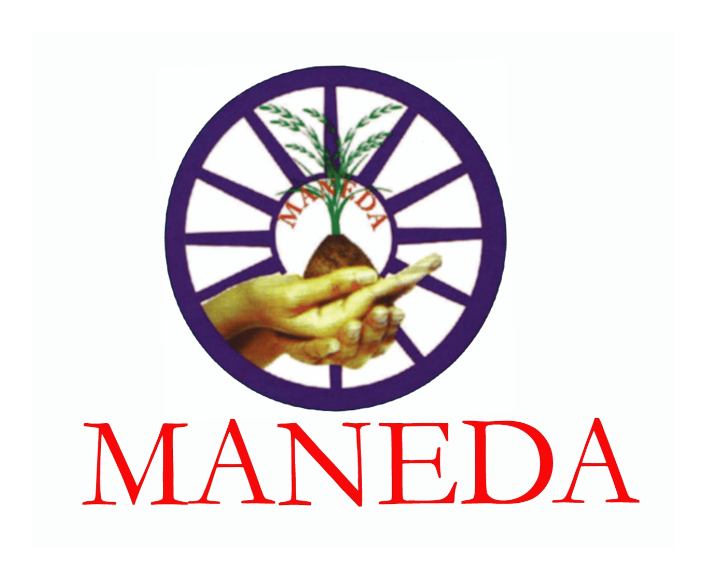MANEDA (1991)