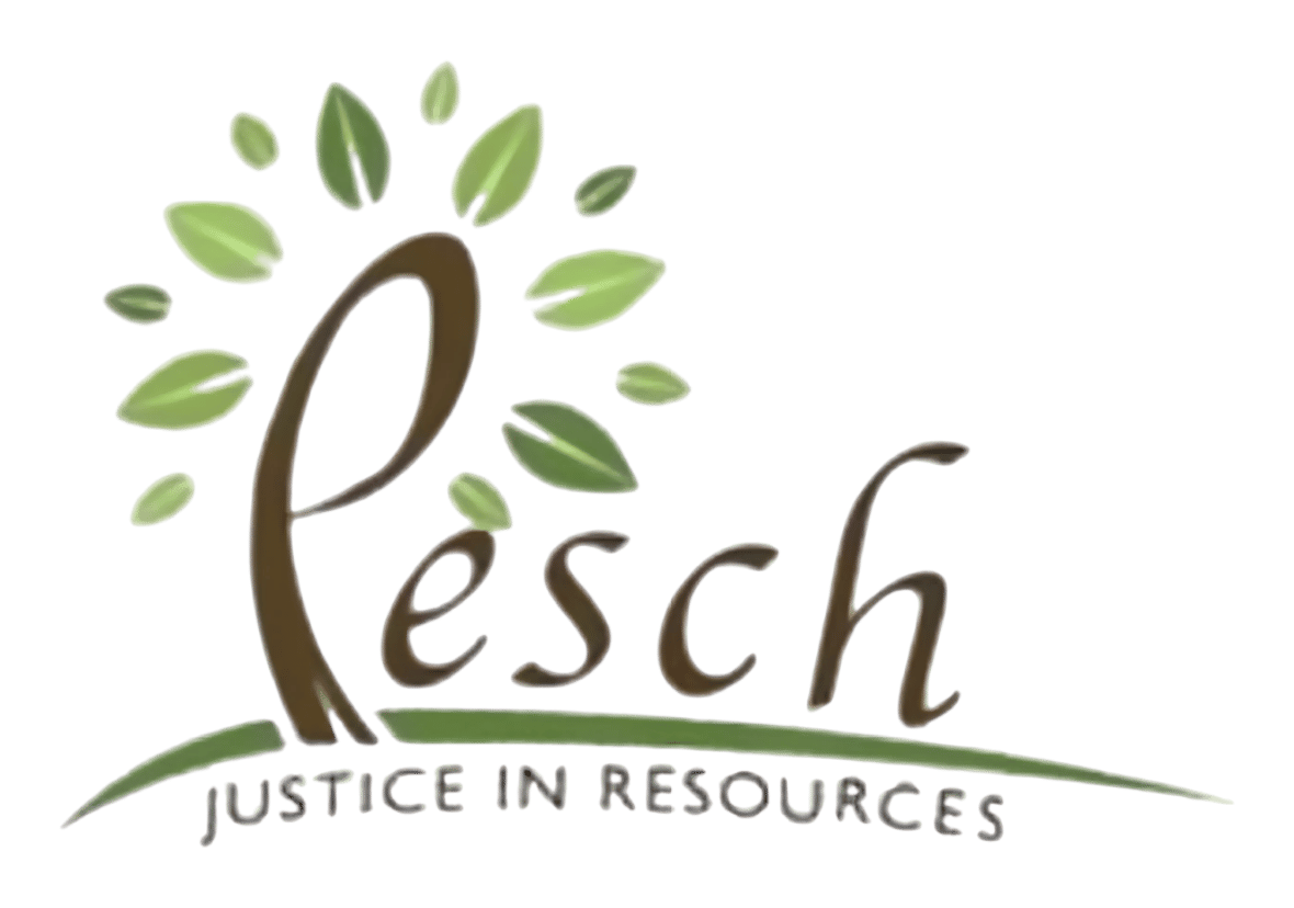 People's Endeavour for Social Changes (PESCH) (1997)